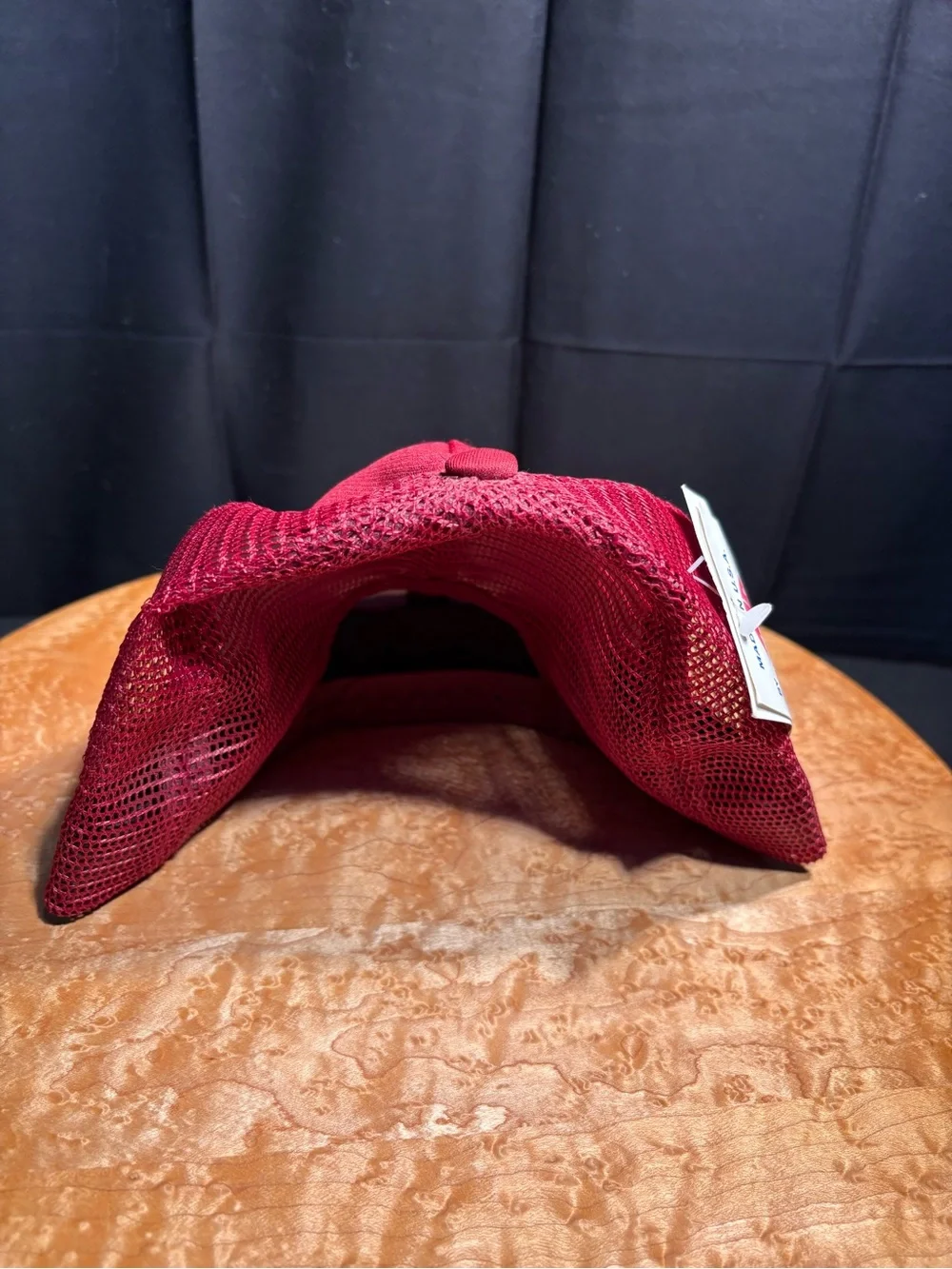 Vtg 1988 AJD Philadelphia Phillies Mike Schmidt #20 Trucker Hat Deadstock.Error!